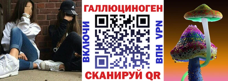 Купить  Тара  Галлюциногенные грибы Magic Shrooms 