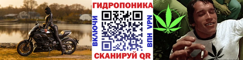 Бошки Шишки LSD WEED  Купить закладки  Тара 